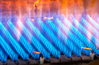 Trimsaran gas fired boilers